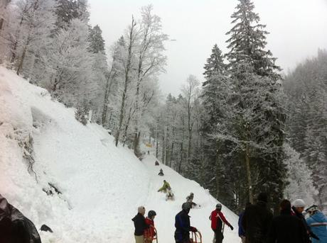 tobogganing tegernsee 