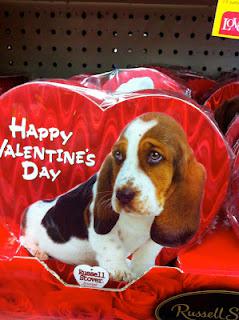 Subliminal Messages Behind Common Valentine's Day Gifts