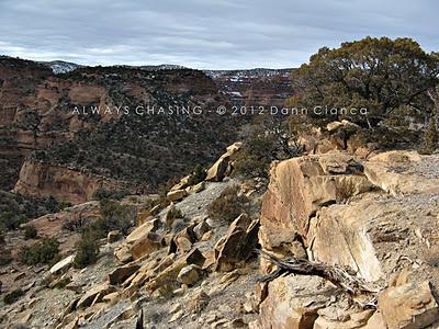 2012 - January 23rd - The Pollock Bench & Flume Creek Canyon, McInnis Canyons National Conservation Area/Black Ridge Canyons Wilderness