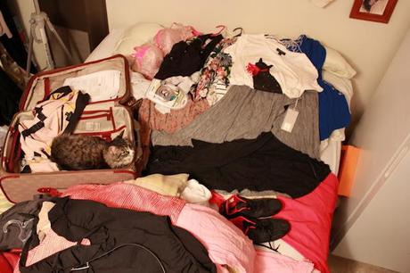 Packing for Belize