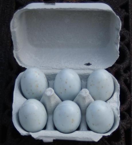 Lesson 487 – A half dozen delicate soap eggs