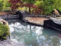 Where To Buy Pond Liners Online?