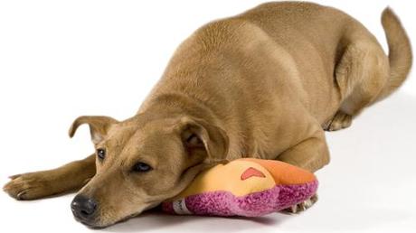 PetStages Heartbeat Pillow