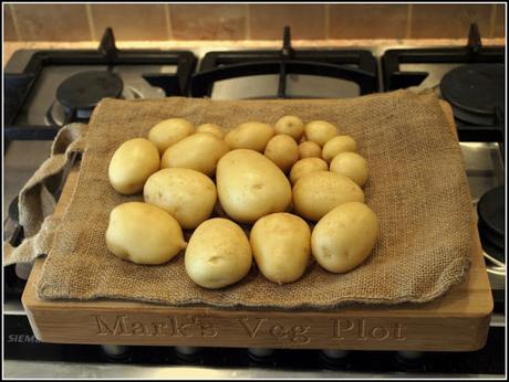 Blight-resistant potatoes