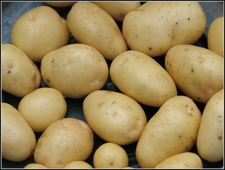 Blight-resistant potatoes