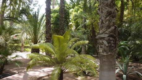 La Mode D'Emm Marrakech, Morocco Jardin Majorelle