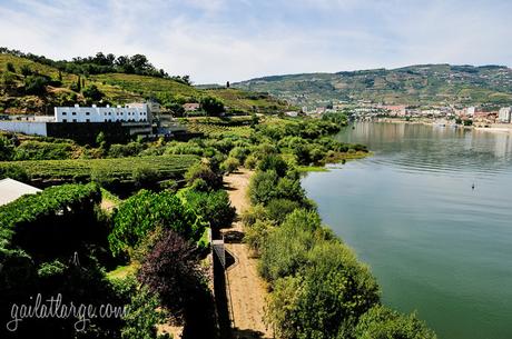 Peso da Régua, Portugal (8)