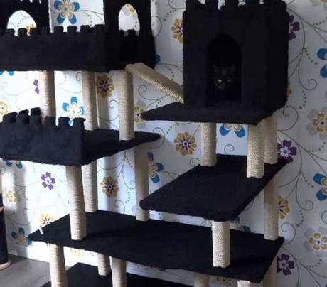 Top 10 Amazing and Unusual Cat Towers