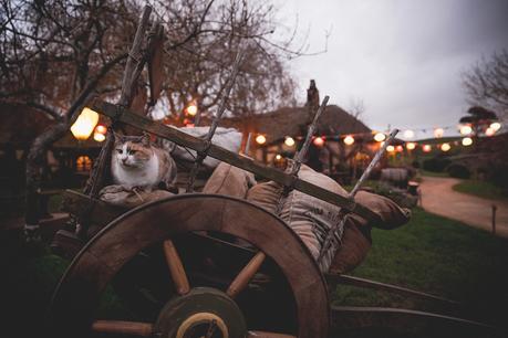 Gabriella & Joseph. A Uniquely Personal Hobbiton Wedding by Tinted Photography