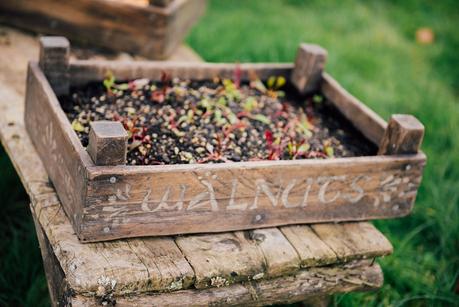 Gabriella & Joseph. A Uniquely Personal Hobbiton Wedding by Tinted Photography