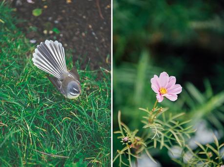 Gabriella & Joseph. A Uniquely Personal Hobbiton Wedding by Tinted Photography