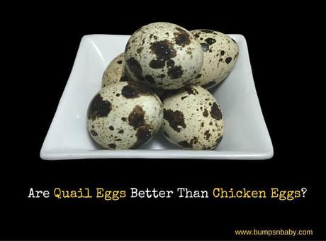 I Prefer Giving my Kid Quail Eggs Over Chicken Eggs – 4 Reasons Why