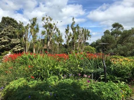 tropical scottish garden