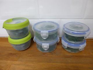 Kale for the Freezer