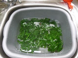 Kale for the Freezer
