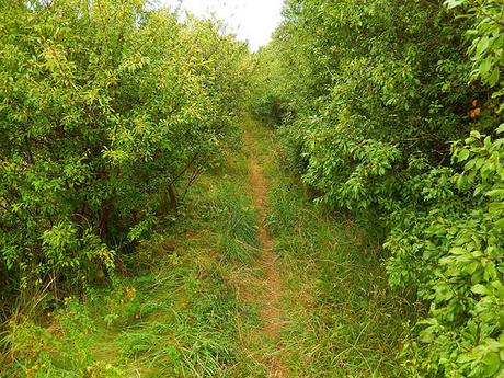 Notgrove Long Barrow