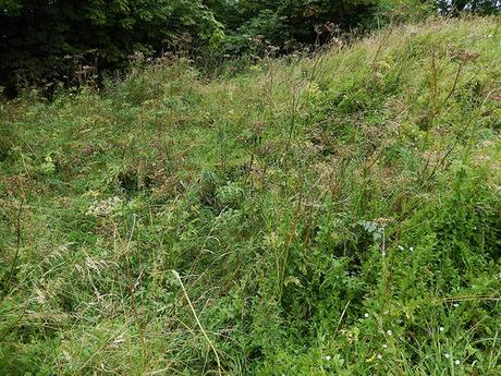 Notgrove Long Barrow
