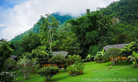 A Trip to the Chiang Dao Nest in Northern Thailand