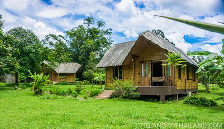 A Trip to the Chiang Dao Nest in Northern Thailand