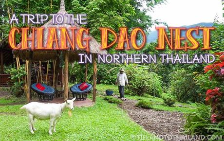 A Trip to the Chiang Dao Nest in Northern Thailand