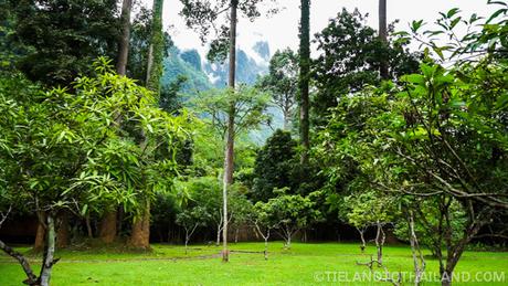 A Trip to the Chiang Dao Nest in Northern Thailand