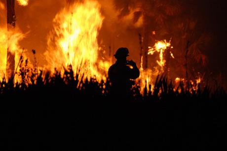 wildfire-at-Florida-Panther