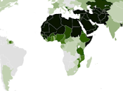 Online Polls: Global Financial Crisis Muslim Migrants