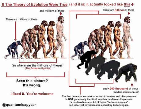 Common creationist misconception about human evolution fixed