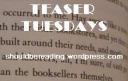 Teaser Tuesdays: Another one from Lady Audley’s Secret