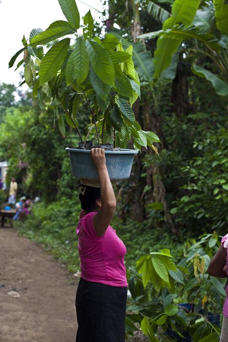 el salvador // service projects