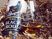 Black Grouse Review
