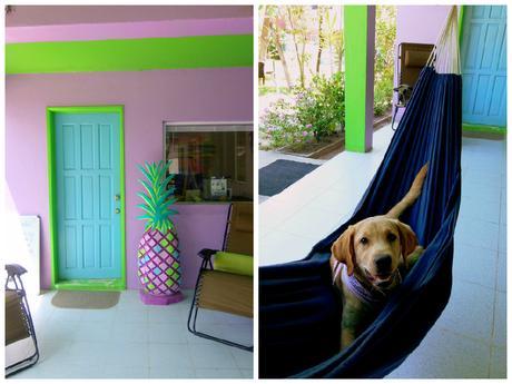 Spotlight: Hostel La Vista - My Favorite Hostel in San Pedro, Belize