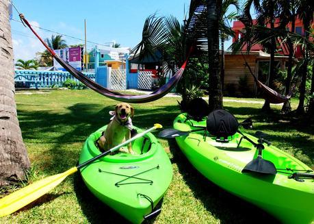 Spotlight: Hostel La Vista - My Favorite Hostel in San Pedro, Belize