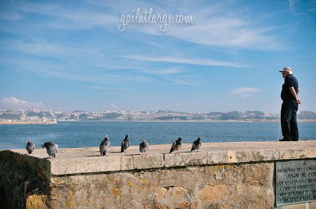 Porto, Portugal (5)