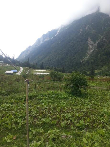 Trek to Valley of Flowers with GIO - To Ghangaria