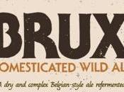 Brux Domesticated Wild Russian River Sierra Nevada Brewing Collaboration) Bottle 8/30/2015