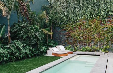 Rooftop courtyard with a pool in a Mexico City home