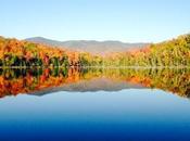 Reveals ‘astronomical’ Scale Human Impact Forests