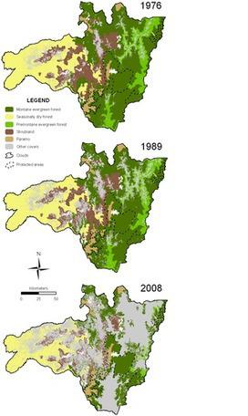 Deforestation and Forest Fragmentation in South Ecuador since the 1970s – Losing a Hotspot of Biodiversity