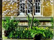 Copy ‘Oxford College Gardens’