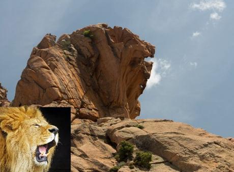Top 10 Amazing Animal Shaped Rock Formations