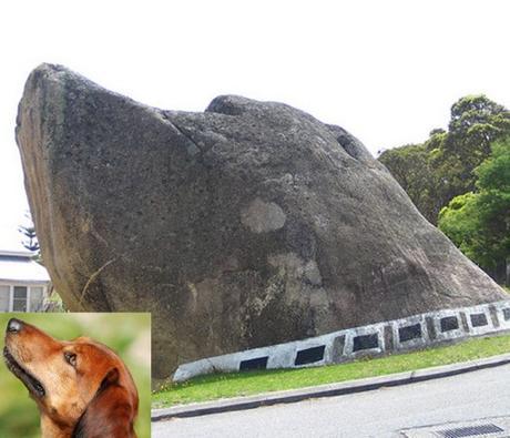 Top 10 Amazing Animal Shaped Rock Formations