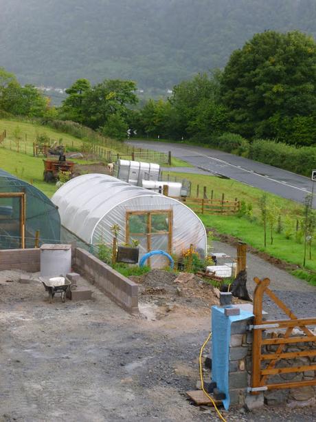 Forgetting My Head .....