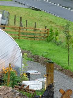 Forgetting My Head .....