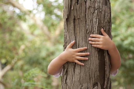 kid hans embracing a tree trunk