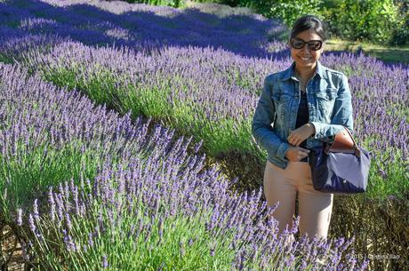 A Trip to the Jersey Lavender Farm