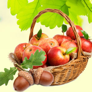 Apples and Oak Fragrance