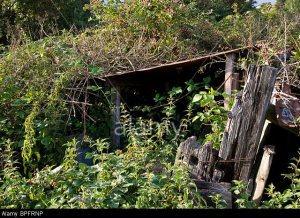 Creaking Open That Old Shed Door…