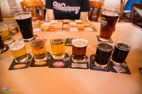 Flight of Mexican beer.