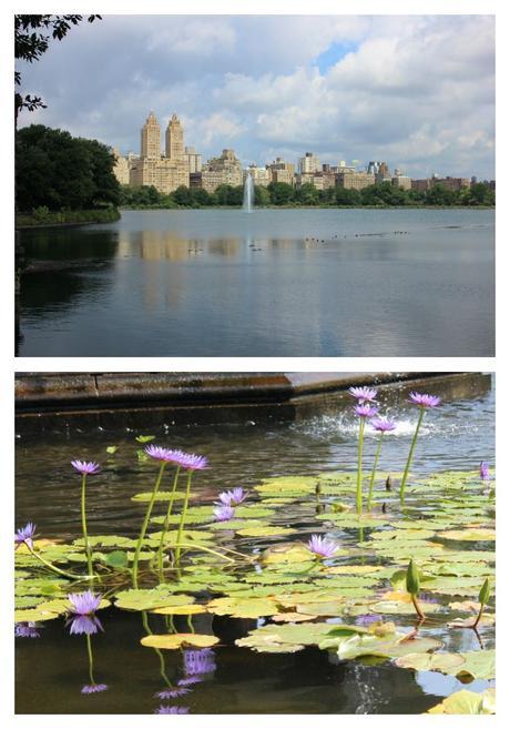 What to See in Central Park New York